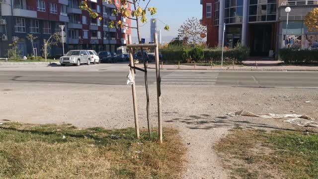 Снимка: Знак за пешеходна пътека