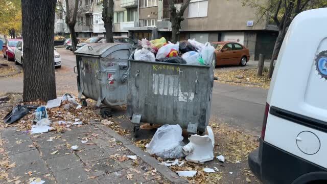 Снимка: Чистота