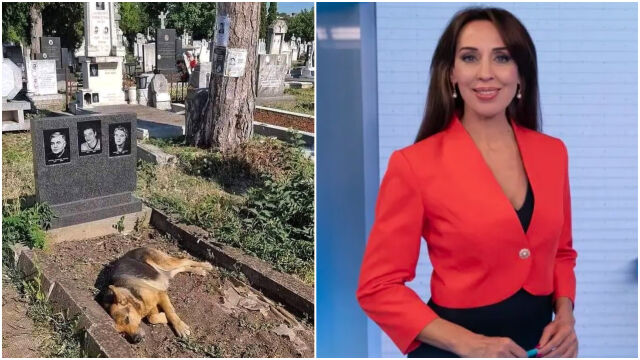 Снимка: Неделя Щонова показа безусловната любов и преданост в един кадър