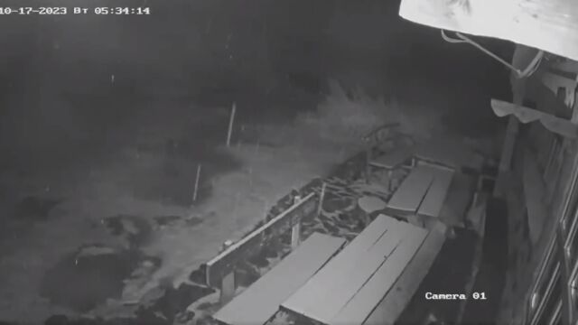 Снимка: Първи сняг в планините у нас (СНИМКИ и ВИДЕО)