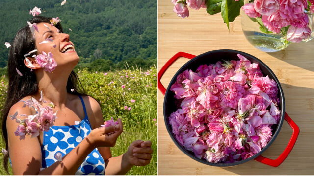 Снимка: Как да разпознавате истинския аромат на розовото масло - „Вкусът на България“