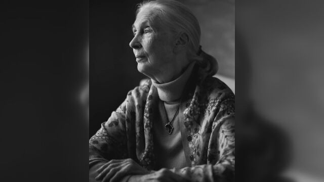 На 91 години почина природозащитничката Джейн Гудол