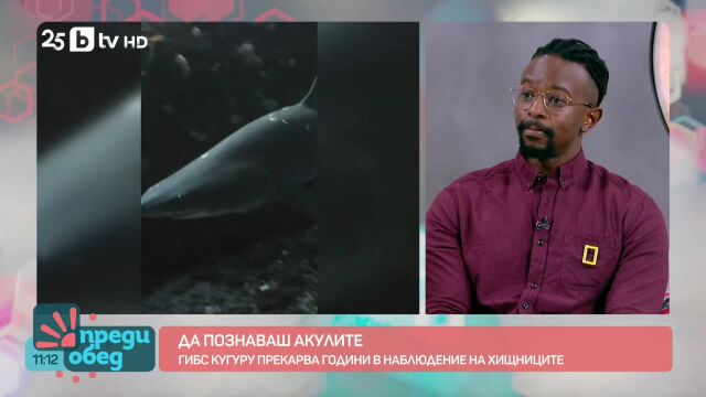 Снимка: Гибс Кугуру, укротителят на акули: Преследват ме, но и ми позволяват да ги галя (ВИДЕО)