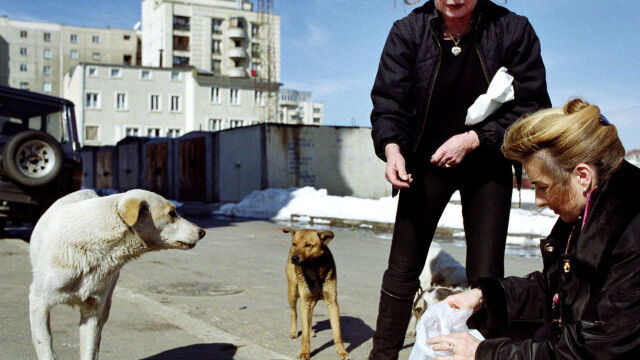 Снимка: Как Брижит Бардо помогна на мечките в България - от Холивуд до Белица