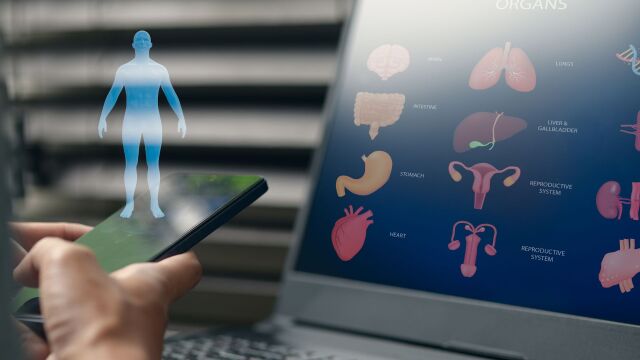 Снимка: Часовник предсказва как стареят органите и кой ще развие заболяване