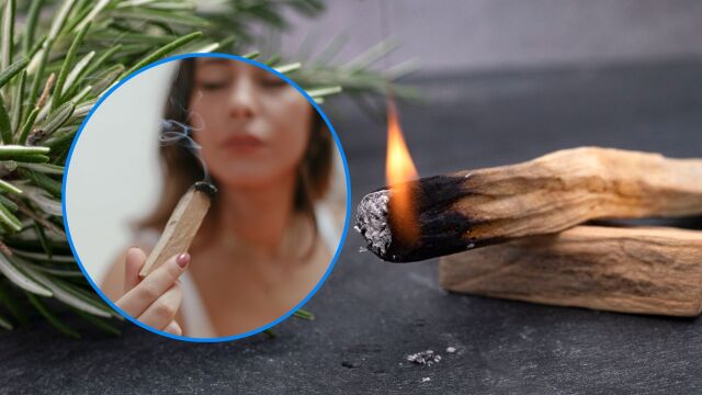 Снимка: Какво е Пало Санто: Лечебно средство срещу болка и стрес (ВИДЕО)
