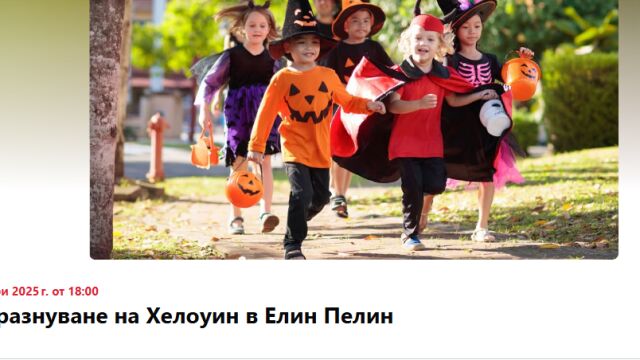 Снимка: След забраната на кмета - подготвят 