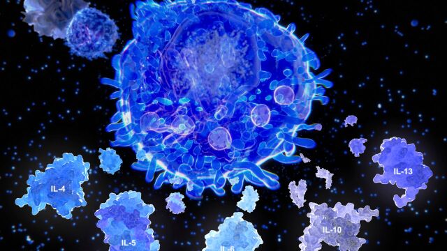 Снимка: Учени откриват как тялото контролира и лекува възпалението