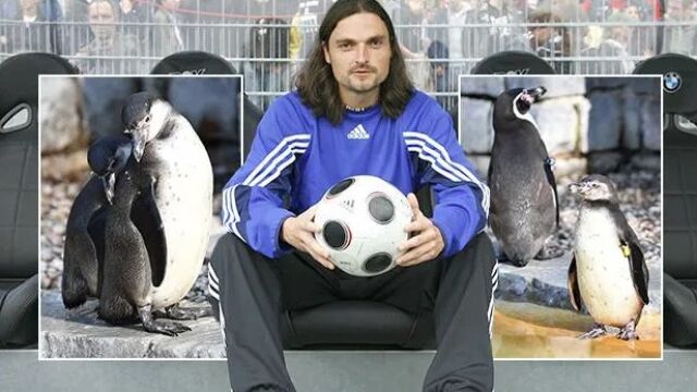 Снимка: Новият шеф на Димитър Митов задигнал пингвин от резерват