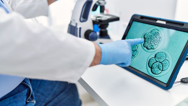 Снимка: Популярен тест при инвитро пропуска генетични аномалии в ембрионите