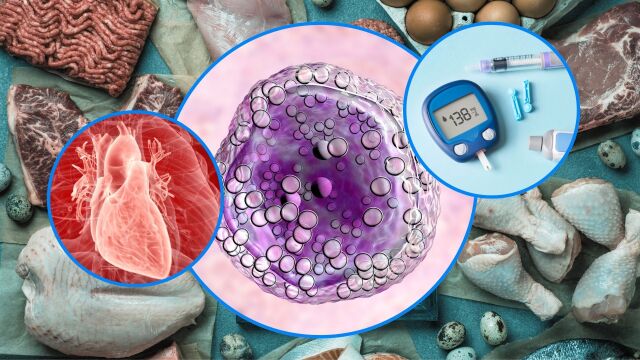 Снимка: Коя диета вреди на околната среда и увеличава риска от рак и диабет?