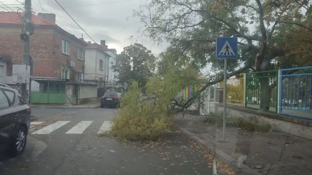 Снимка: Ураганен вятър с до 110 км/ч в Сливен: Пострадалият мъж е в доста тежко състояние, борят се за живота му