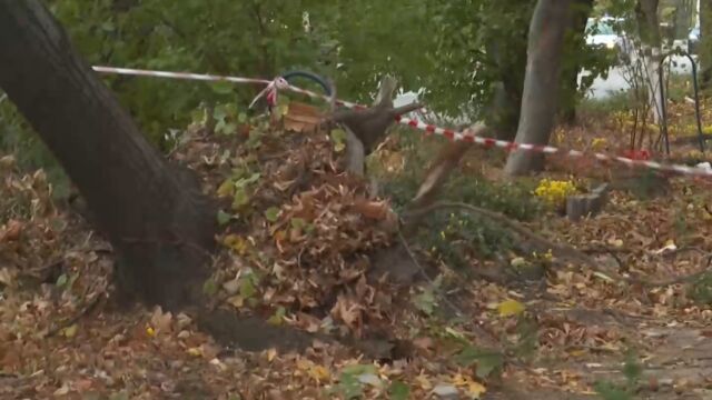 Снимка: Пострадалият при силния вятър мъж в Сливен е в много тежко състояние. Има счупени ребра, които са пробили белия му дроб