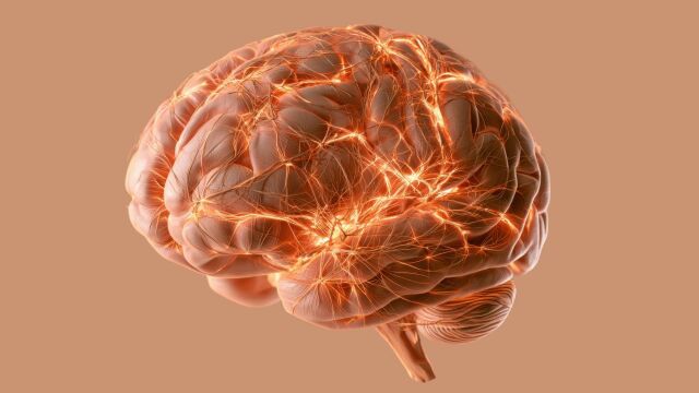 Снимка: ADHD е свързан с по-висок риск от деменция в зряла възраст, сочи проучване