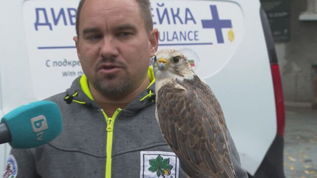 Снимка: Ромео е топ мъжкар - на 32 години е баща на 60 деца