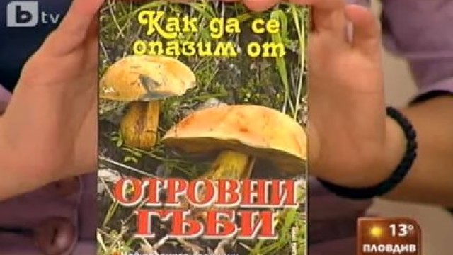 Снимка: Как да се пазим от отровните гъби? 