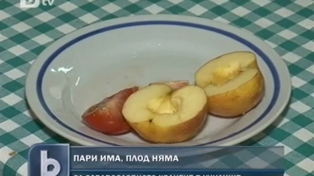 Снимка: Ще има ли плодове за малките ученици? 