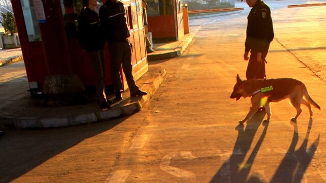 Снимка: Датското председателство ангажирано с влизането ни в Шенген