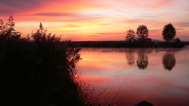 Снимка: Учени: Езерата по света са застрашени от нашествие на едри животни