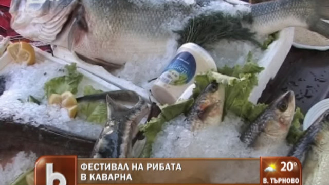 Снимка: За любителите на рибата