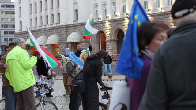 Снимка: Протестиращите донесоха саксии в чест на парламентарното 