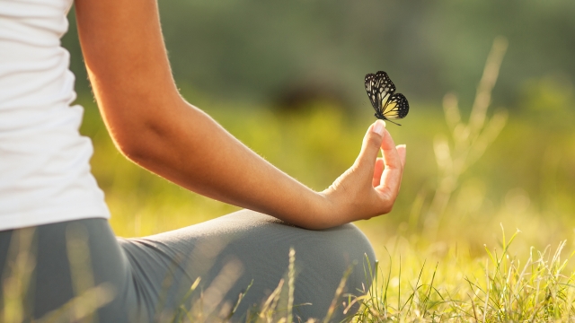 Снимка: Мисъл на деня от Джордж Прентис