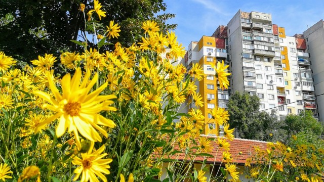 Снимка: Тези имена празнуват на 1 май
