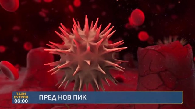 Снимка: В 