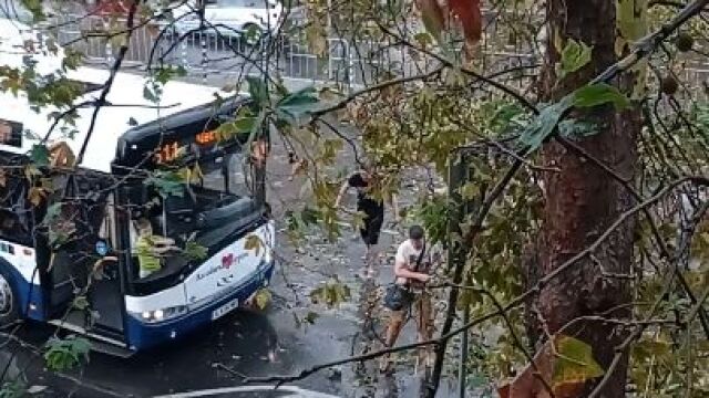 Снимка: Граждани разчистват