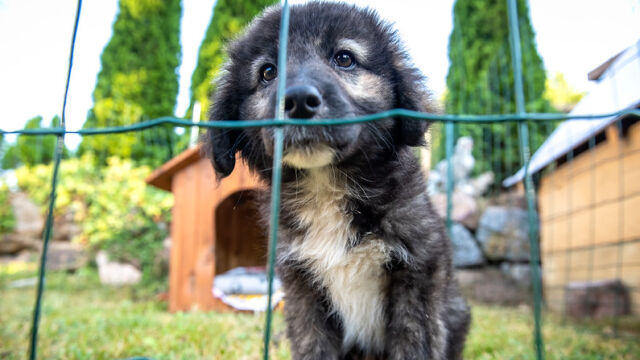 Снимка: Коя участничка от 