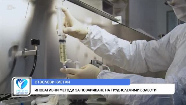 Снимка: Как стволовите клетки се използват в повлияването на труднолечими болести?