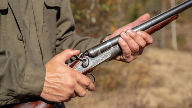 Снимка: Задържаха мъж, убил с ловна пушка куче в Българово