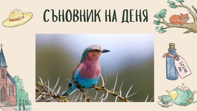 Снимка: Съновник: Какво означава да сънувате, че сте птица
