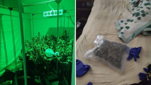Синът на бившата шефка на спецпрокуратурата е задържан с голямо количество марихуана