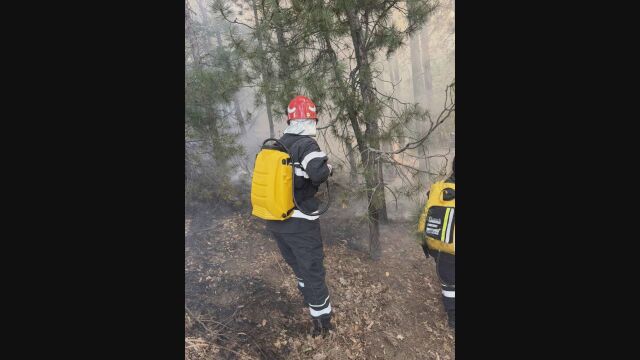 Снимка: Продължава борбата с пожара край село Димовци, около 120 души са на терен