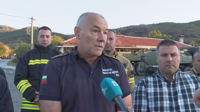 „Всяка педя e важна“: Пожарникарите в Димовци лазили - дърветата били толкова много, че не можели да се изправят
