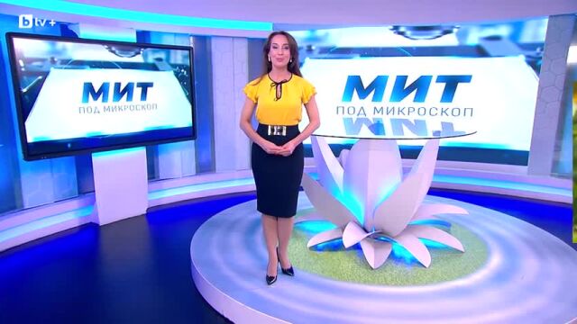 Снимка: Мит под микроскоп: Развива ли се детският мозък само с учене? (ВИДЕО)