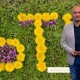 Най-добрите лафове на Емо Чолаков за април 2017 г.