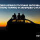 Седем майки решават да хванат гората... И стигат в село Шумата
