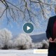 Най-добрите лафове на Емо Чолаков за ледения януари 2017 г.