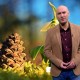 Най-добрите лафове на Емо Чолаков за януари 2018 г.