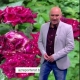 Най-добрите лафове на Емо Чолаков за юни 2018 г.