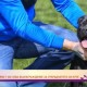 Стопанин обяви 7000 лева възнаграждение за откраднотото си куче