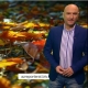 Най-добрите лафове на Емо Чолаков за септември 2018 г.