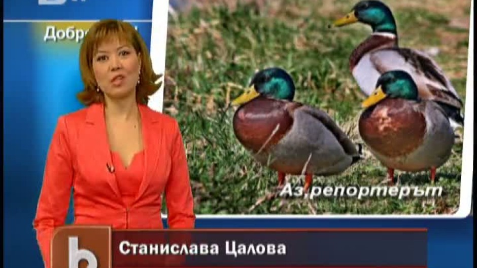 Времето - Сутрешна емисия 02.04.2012 г.