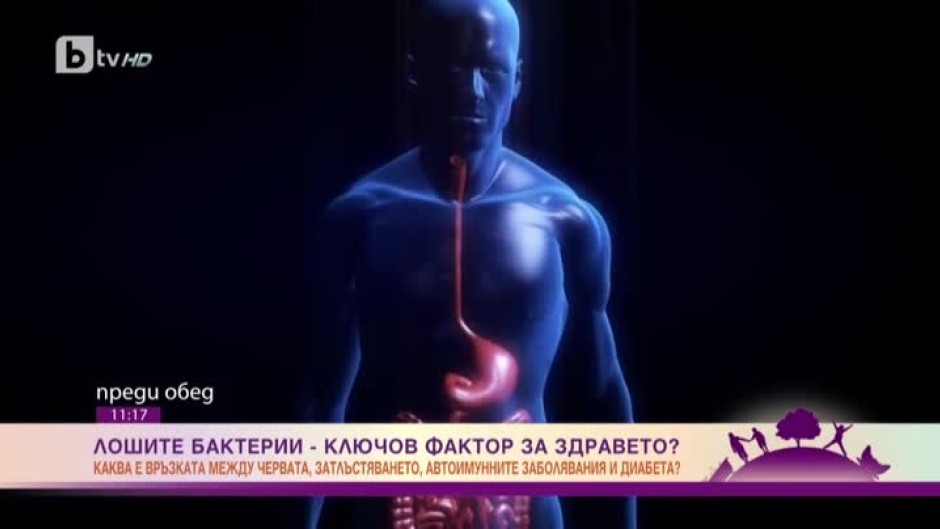 Как да имаме здрави черва и да увеличим полезните бактериите в стомаха?
