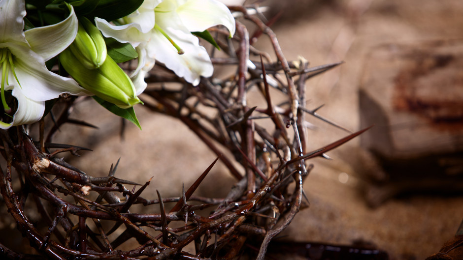 Разпети петък е най-тъжният ден - всяко същество страда