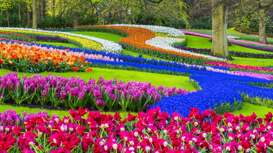 10 великолепни градини по света, които трябва да посетите поне веднъж в живота си (СНИМКИ)