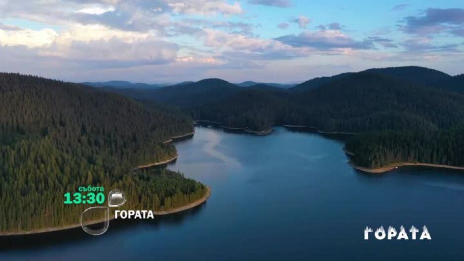 В следващия епизод на "Гората" ще видите..