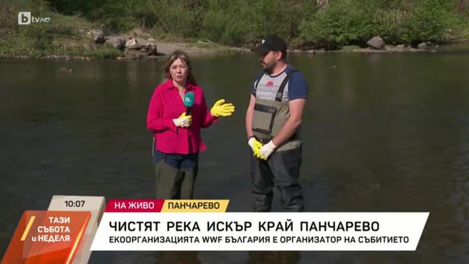 Чистят река Искър край Панчарево